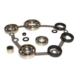 BK4411 - Borg Warner 4411 Transfer Case Bearing and Seal Rebuild Kit